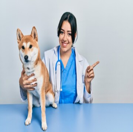 pets-care-service-2